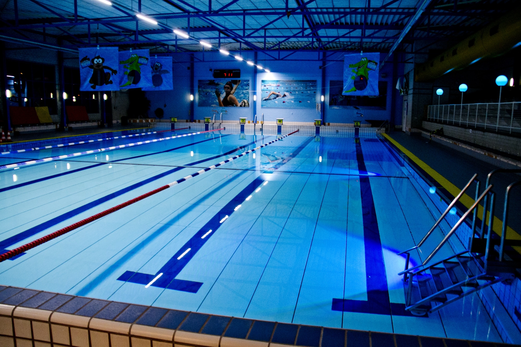 Biesboschzwemmers organiseren masterswedstrijd